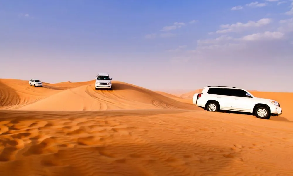 Murex Activities and Tours - Your Key To Discovering Qatar